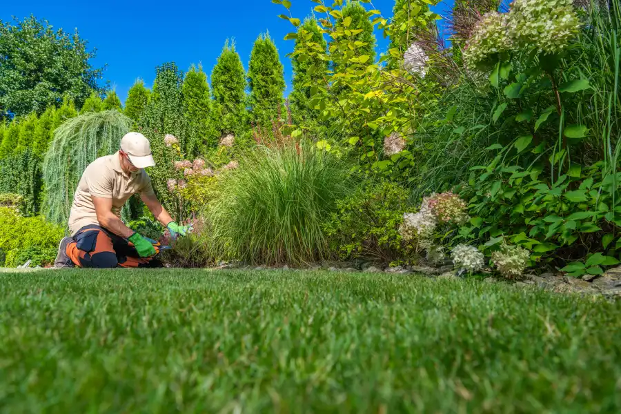 Landscape Company in Apex, NC