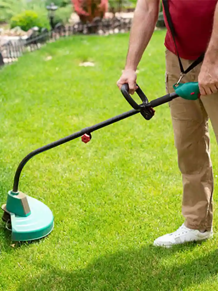 Reliable Lawn Care Services
