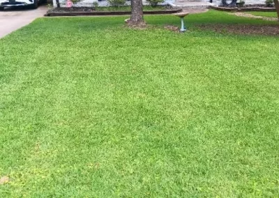 Affordable Complete Lawn Care Service