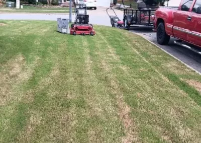Affordable Grass Cutting