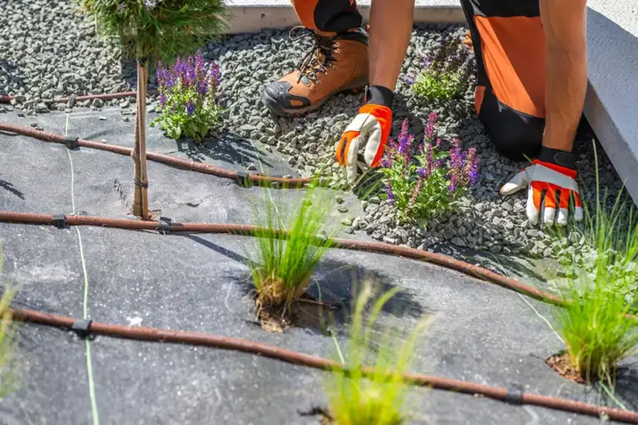 Affordable Landscape Installation Apex, NC