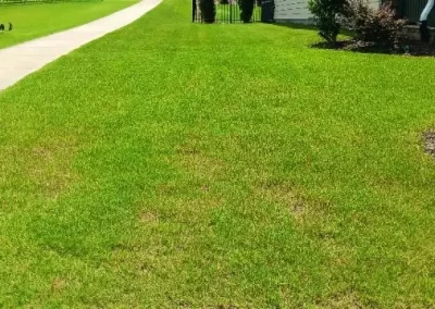 Affordable Lawn Care