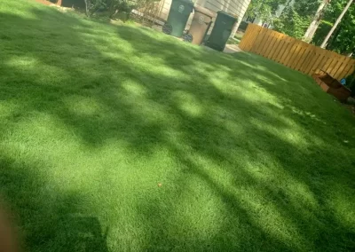 Affordable Lawn Service