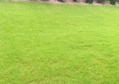 Affordable Yard Fall Clean-Up
