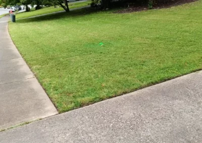 Dependable Lawn Care