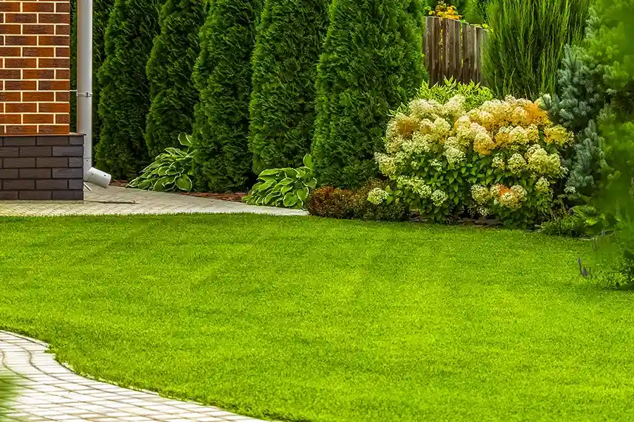 Experienced Lawn Care Services Apex, NC