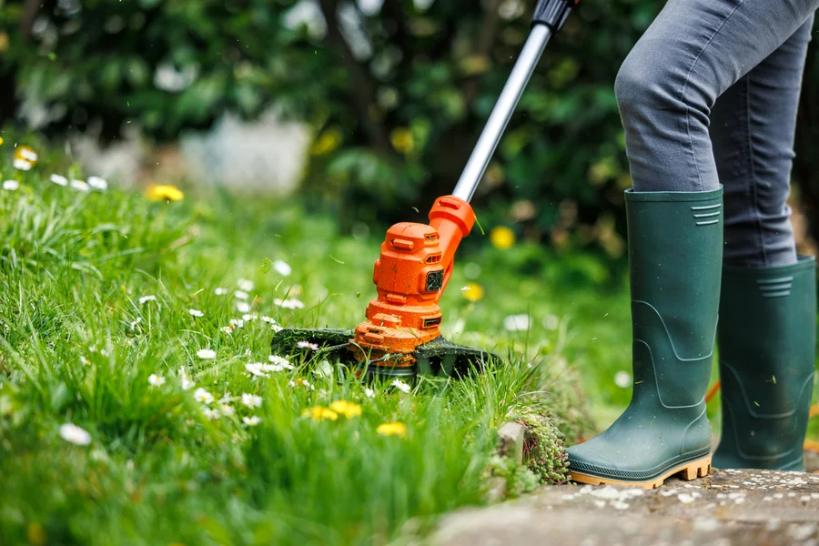 Expert Lawn Care Services Apex, NC