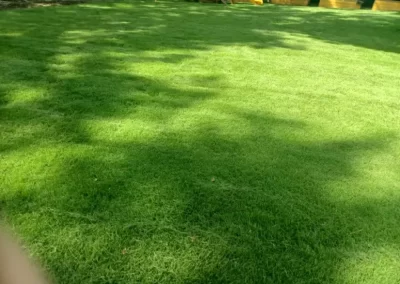 Garden Landscaping