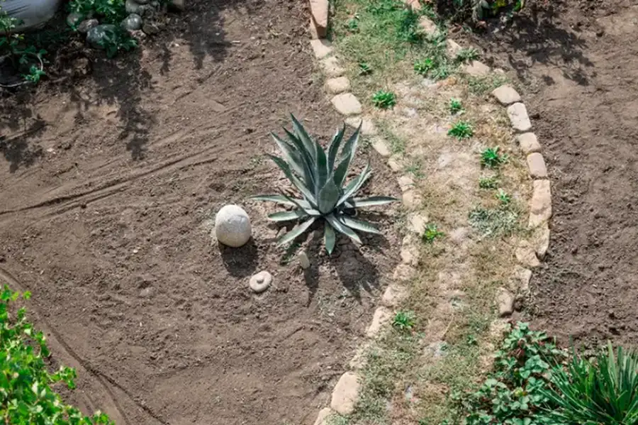 How Landscape Installation Improves Property Drainage Apex, NC