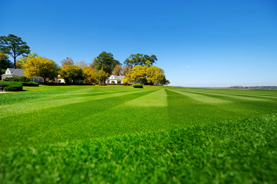How Lawn Care Services Keep Your Yard Healthy Year-round in Apex, NC