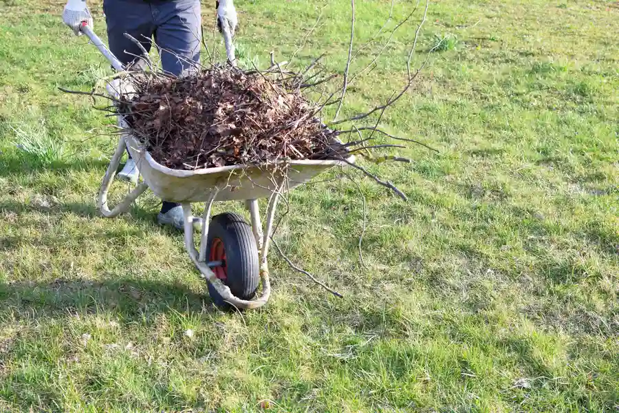 How Yard Cleanup Services Can Save You Time And Effort Apex, NC