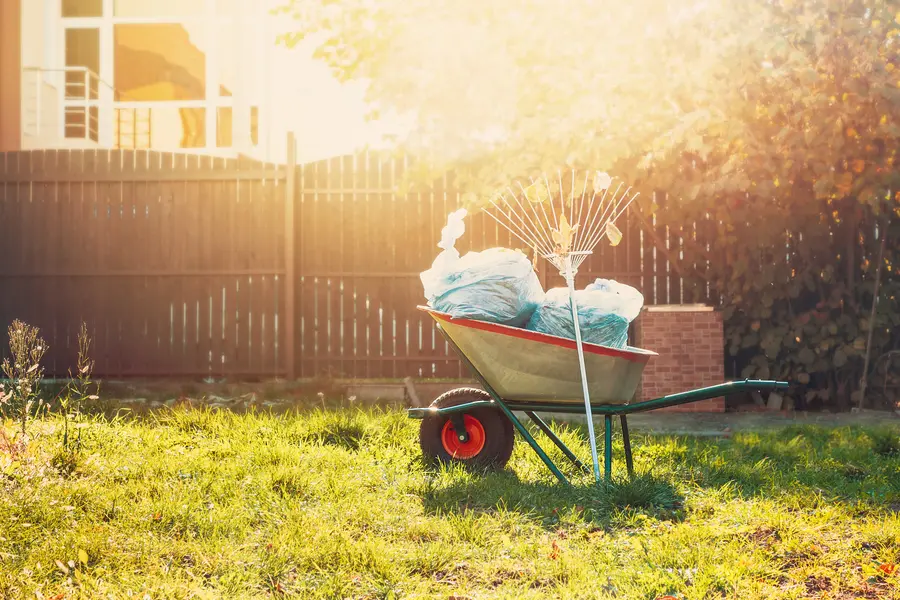 How Yard Cleanup Services Can Save You Time And Effort in Apex, NC