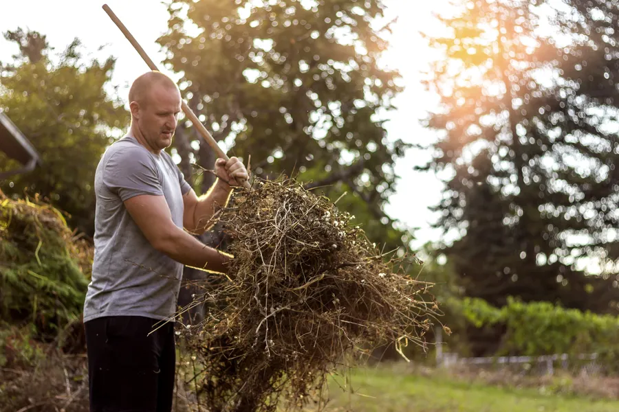 How Yard Cleanup Services Enhance Your Homes Curb Appeal in Apex, NC