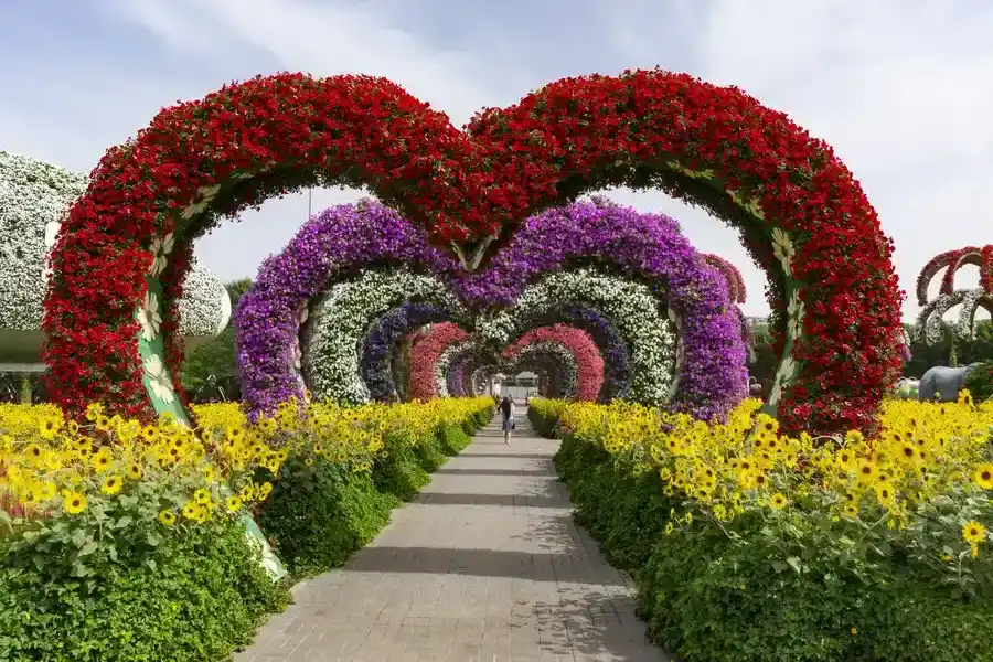 Professional Landscape Installation Apex, NC