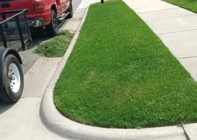 Professional Lawn Care