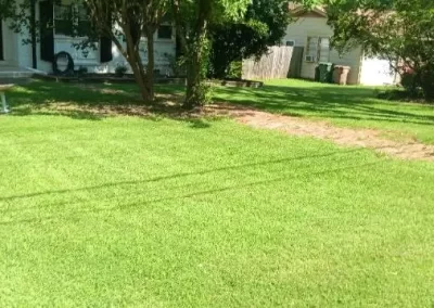 Professional Lawn Service