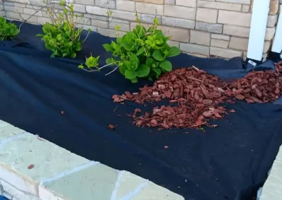 Quality Lawn Care