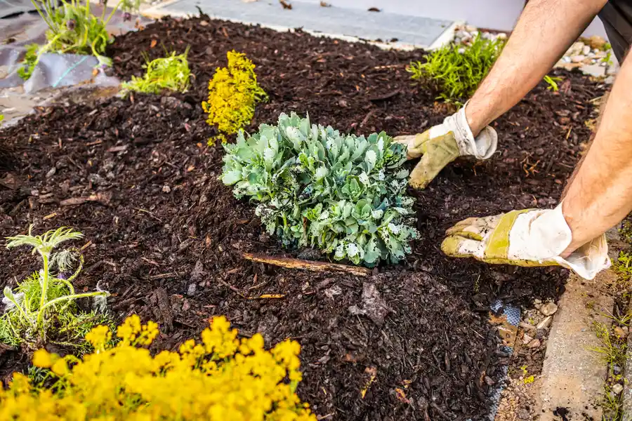 Quality Mulching Apex, NC