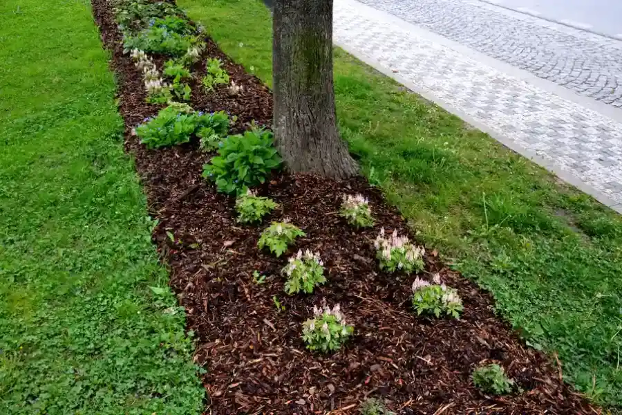 Reliable Mulching Apex, NC