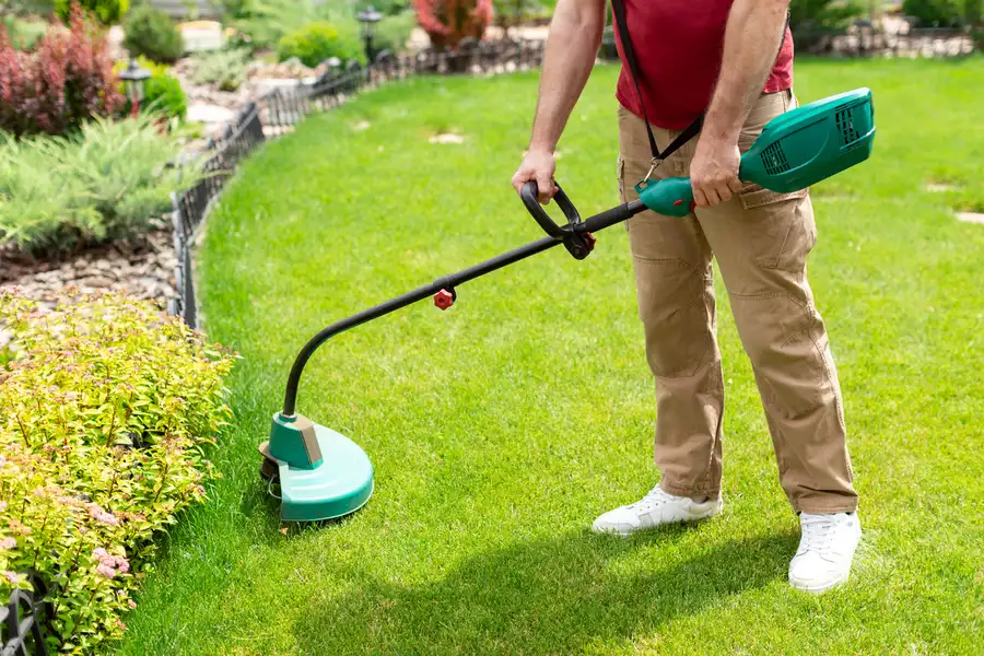 Reputable Lawn Care Services Apex, NC
