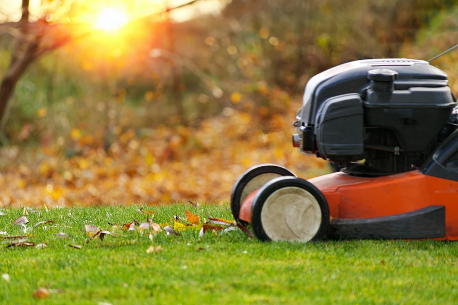 The Benefits Of Hiring Experts For Lawn Care And Maintenance in Apex, NC