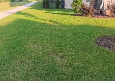 Top Landscape Grass Cutting