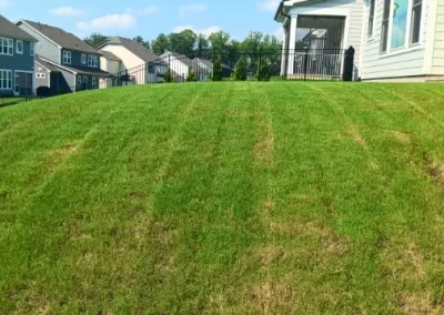 Top Landscaping Company